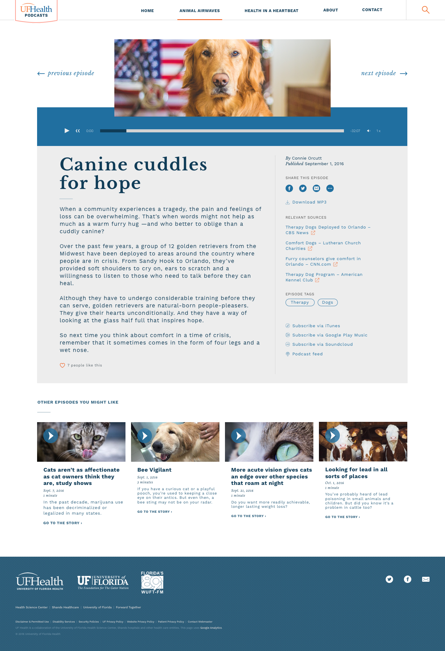 Final design — episode detail (native player)